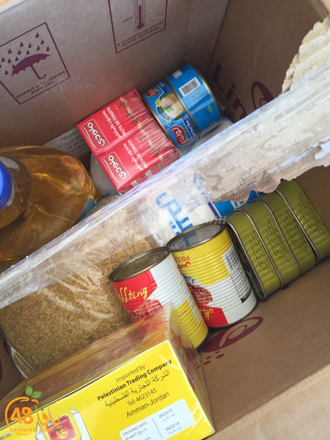 syrian torod (3).jpg